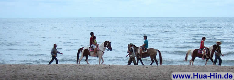 Cha-Am Pferde reiten am Strand