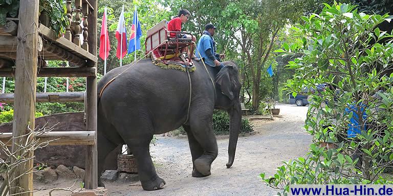 Hochsitz auf Elefant in Hua Hin