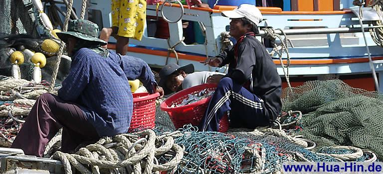 Fische entaden in Cha-Am