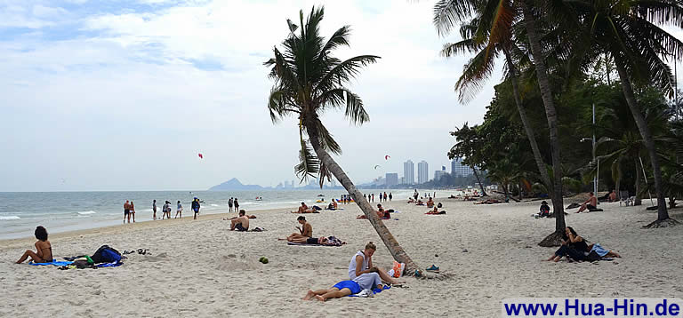 Palmen am Strand